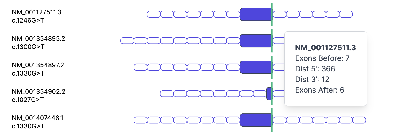 VarSy Search UI